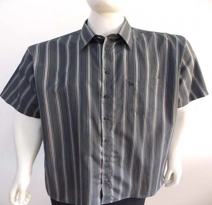 DIA DOS PAIS – Camisas BEWELL o tamanho 2 ao 9